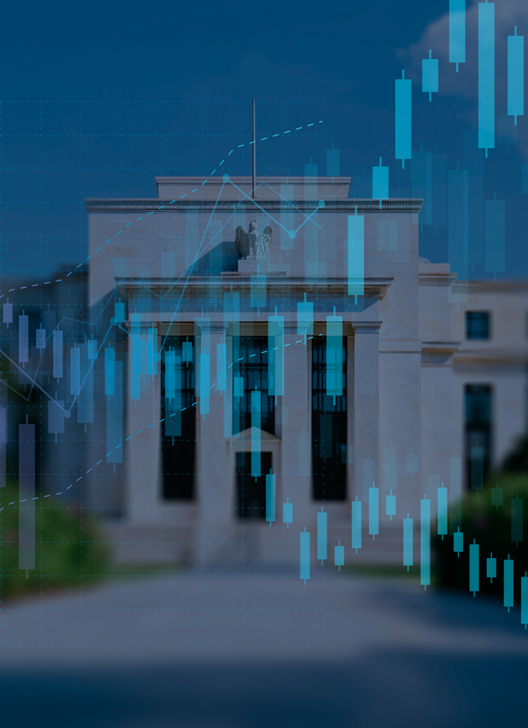 Investment Review №334. Customer return