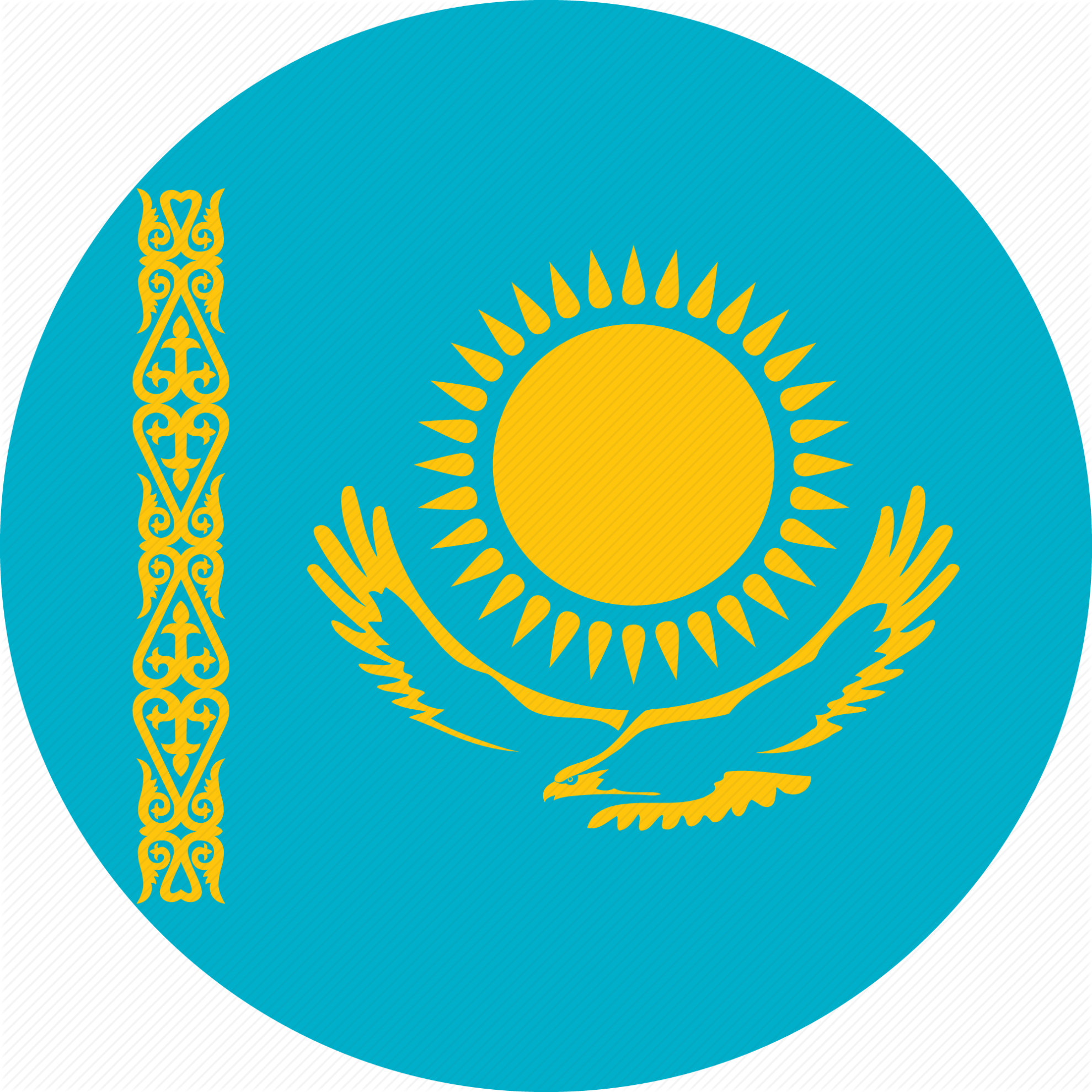 region-icon