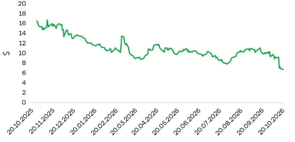 Skydance Share Price Performance