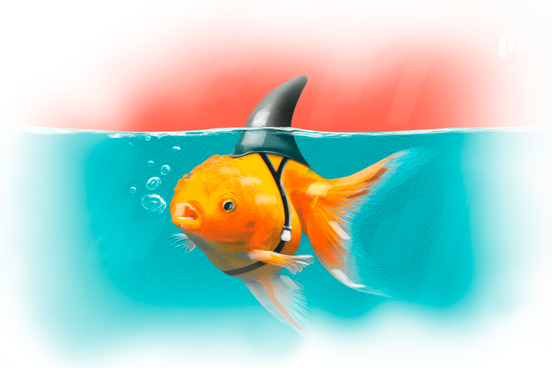 Мошенники маскируются под Freedom Broker: как не отдать им деньги 